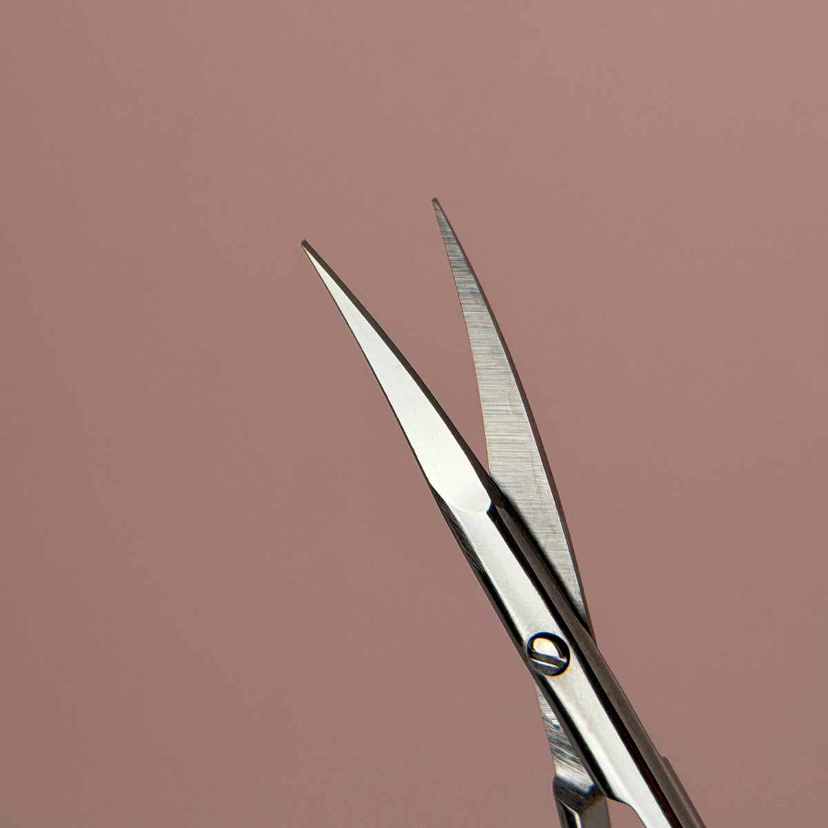 Lilly Beau Scissors